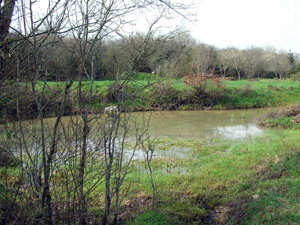 Photo.Field.pond.France