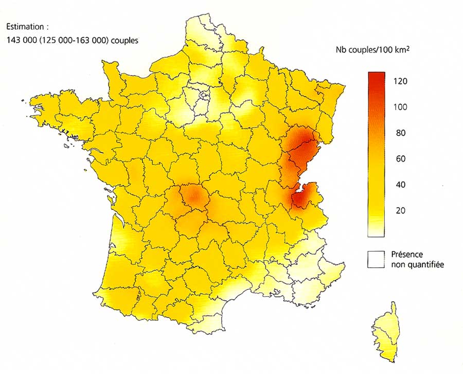 Common-buzzard-map-France