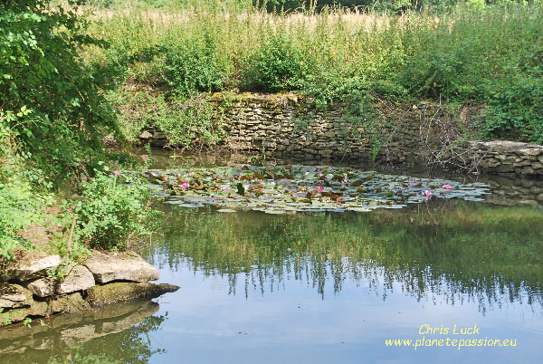 Pondlife In France