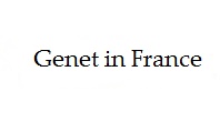 Genet-or-genette-in-france